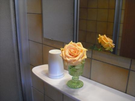 Hotel Landgasthof Wallburg Eltmann ภายนอก รูปภาพ